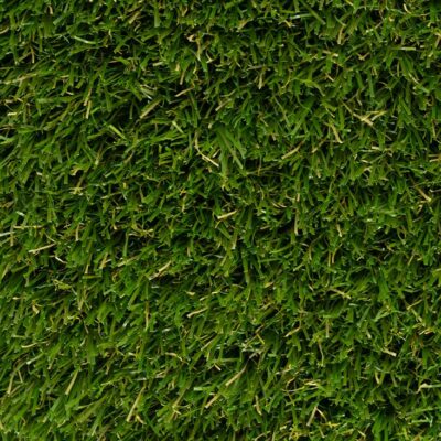 GS-herbe40_zenithal