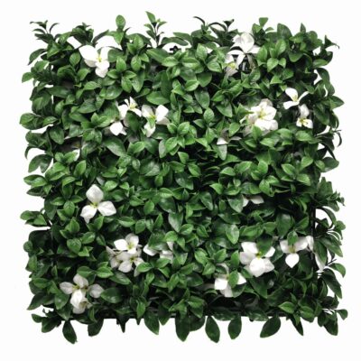 Benidorm Vertical Garden 50x50
