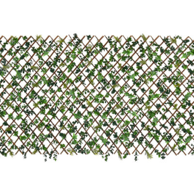 JV-CELOSIA-SALOU-100X200-2