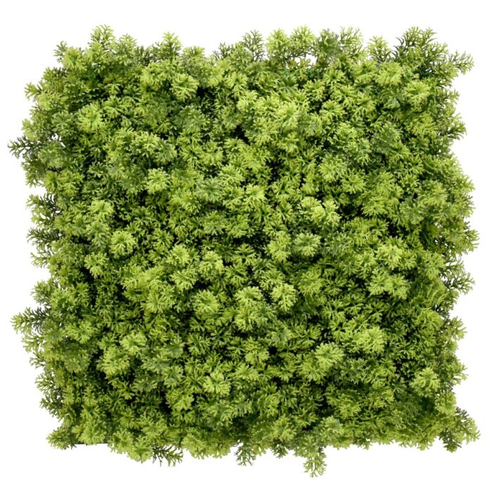 Jardín Vertical Córdoba 50x50