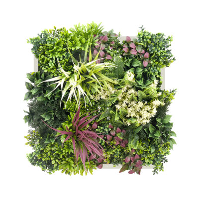 Jardín Vertical Cuadro Veget. Blanco 50X50