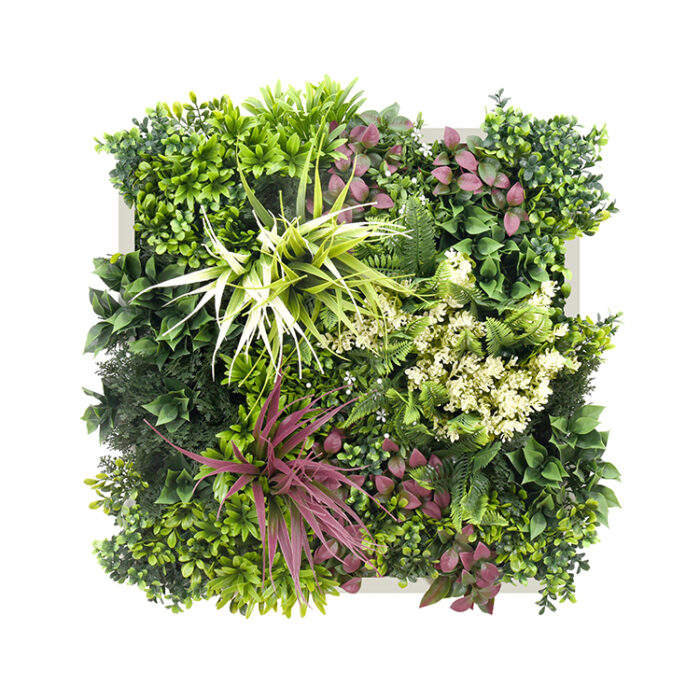 Jardín Vertical Cuadro Veget. Blanco 50X50