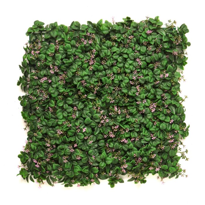 Vertical Garden Ibiza 50x50