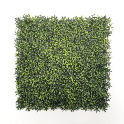 Jardín Vertical Jaén 50x50