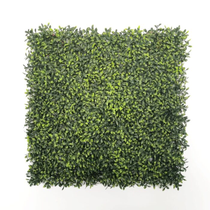 Jardín Vertical Jaén 50x50