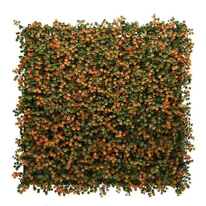 Jardín Vertical León 50x50