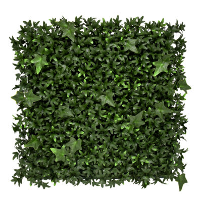 Jardín Vertical Madeira 50x50