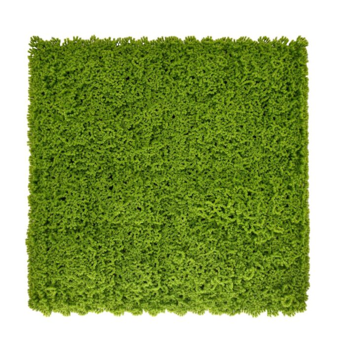 Vertical Garden Green Moss 50x50