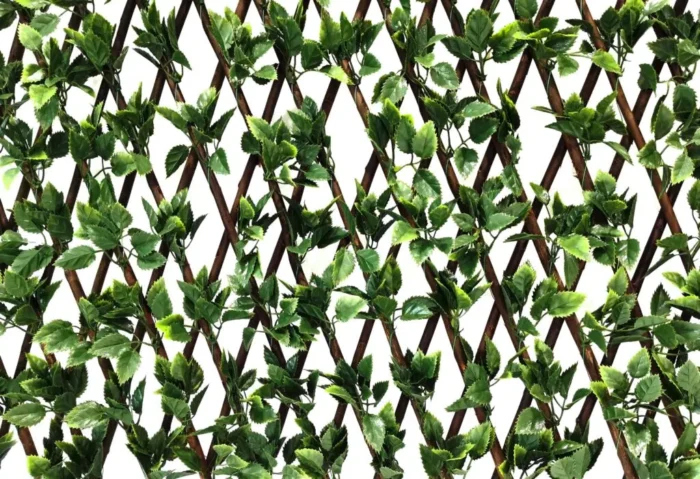 JV_CELOSIA_HOJITAS100X200-min-1024x701
