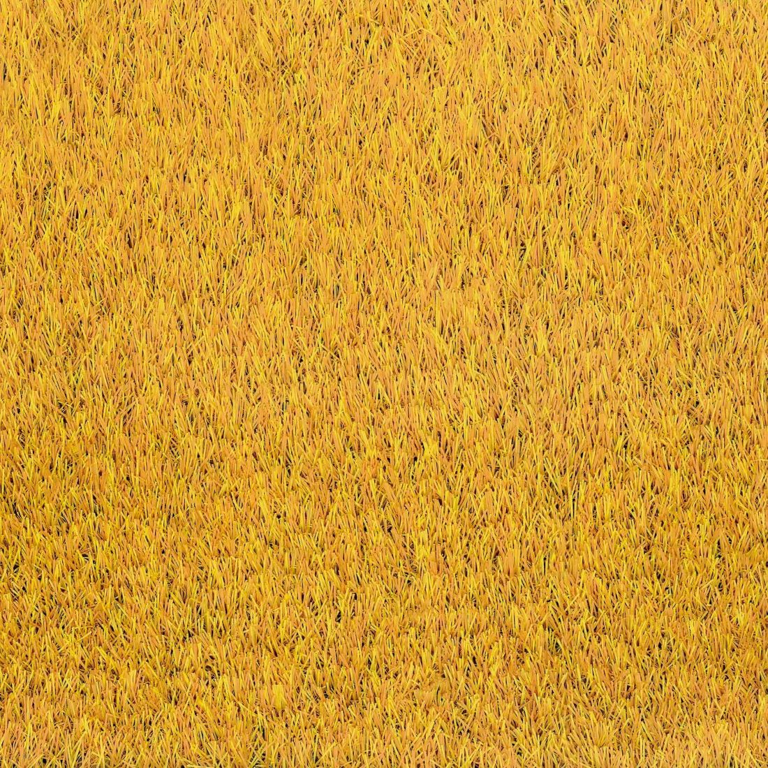 Césped Artificial Oxford Casapura | 66x300cm | Altura 25mm | Verde | Resistente Agua E Intemperie