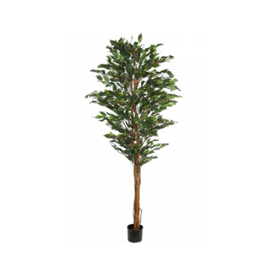 Árbol de Ficus Artificial Deluxe 180cm