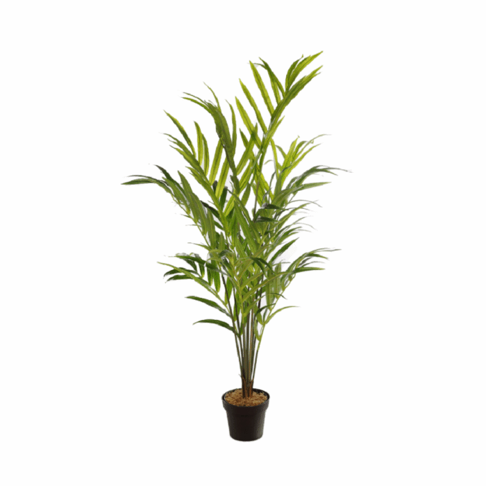 Palmera Kentia Artificial Deluxe 155cm