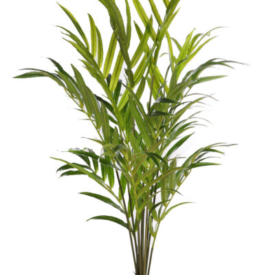 Palmera Kentia Artificial Deluxe 155cm