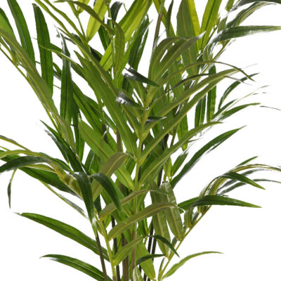 Palmera Kentia Artificial Deluxe 155cm