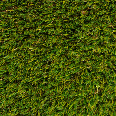 GS-ANTIESTATICGRASS25-CENITAL (web)