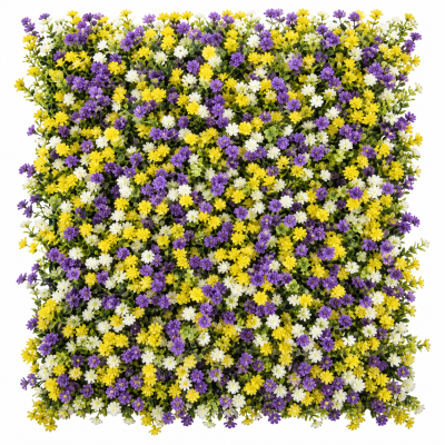 Jardín Vertical Coimbra 50x50